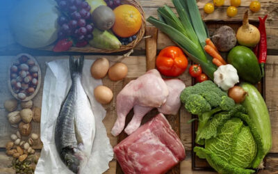 Halal food certification benefits to the business?